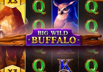 Слот Big Wild Buffalo в Фрага казино